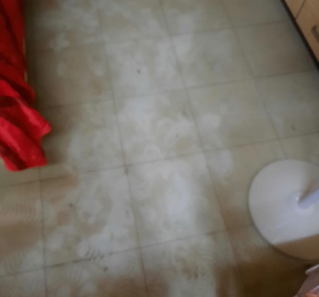 WhatsApp Image 2021-11-20 at 2.45.20 PM.jpeg